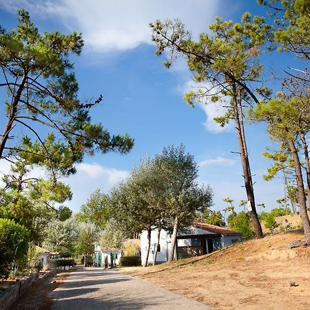 Village Vacances Le Petit Bec Saint-Hilaire-de-Riez Zewnętrze zdjęcie